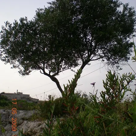 Masseria Lamasanta *